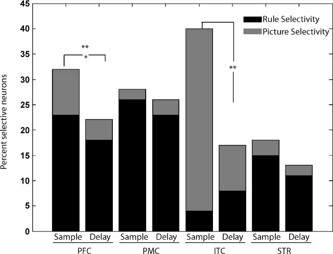 A Comparison of Abstract Rules in the Prefrontal image