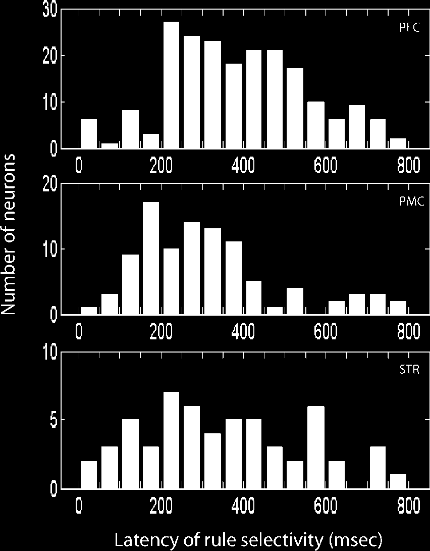 A Comparison of Abstract Rules in the Prefrontal image