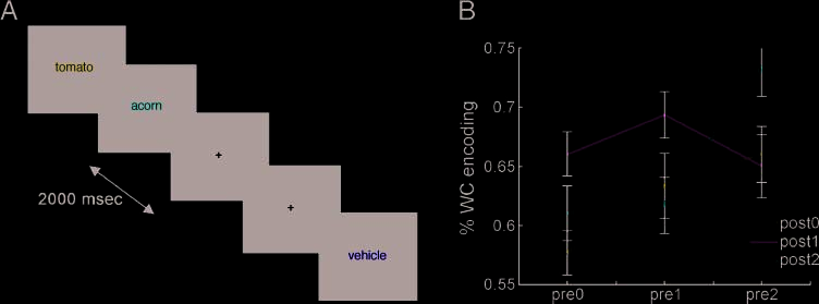 Dissociable Neural Mechanisms for Encoding image