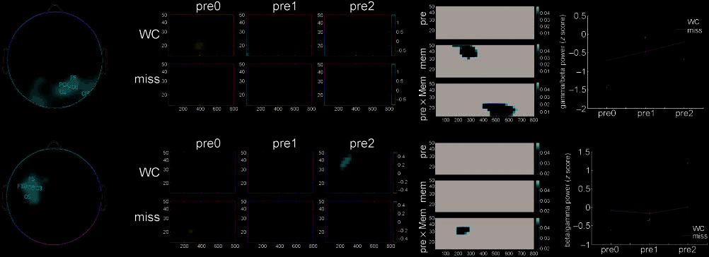 Dissociable Neural Mechanisms for Encoding image