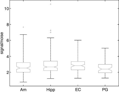 Local Field Potentials and Spikes in the Human image