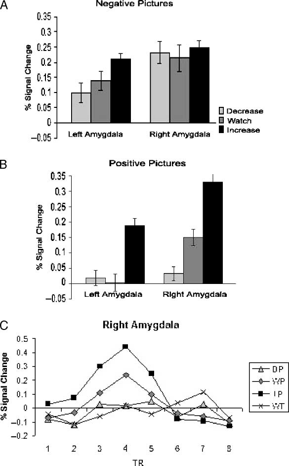 Neural Correlates of Positive and Negative image