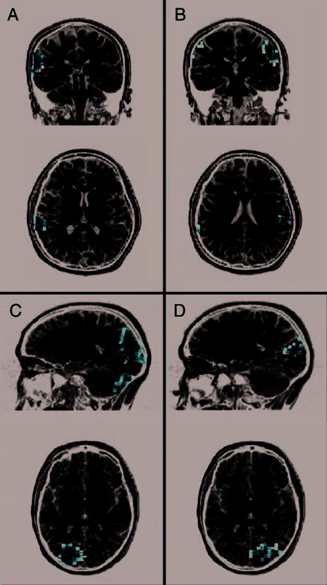 Seeing Sounds and Hearing Sights: The Influence of image