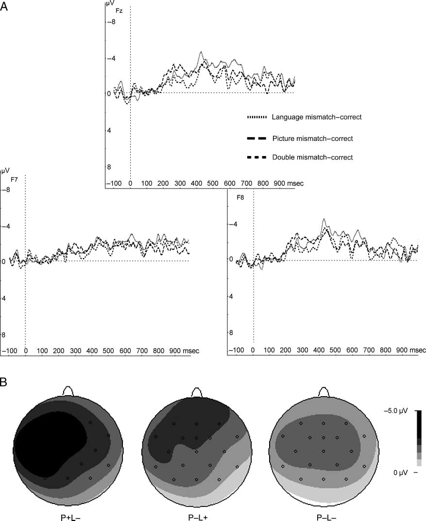 Seeing and Hearing Meaning: ERP and f MRI Evidence image