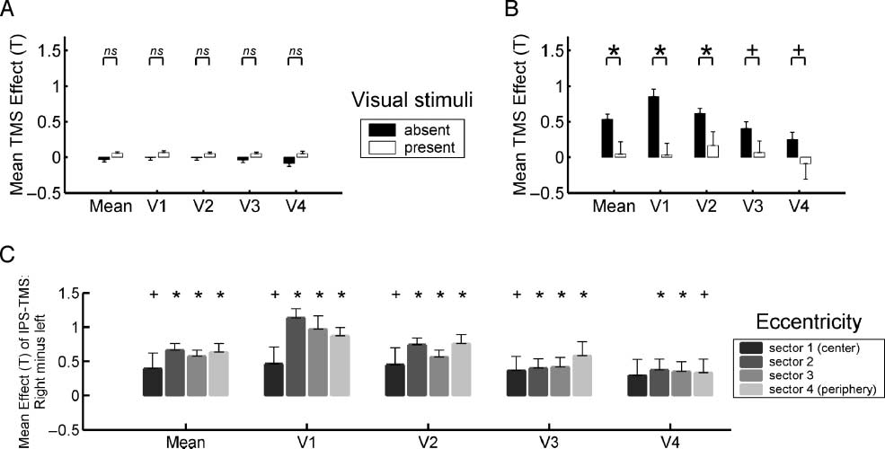 Hemispheric Differences in Frontal and Parietal image