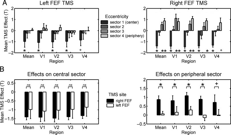 Hemispheric Differences in Frontal and Parietal image