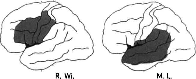 Eight Problems for the Mirror Neuron Theory image