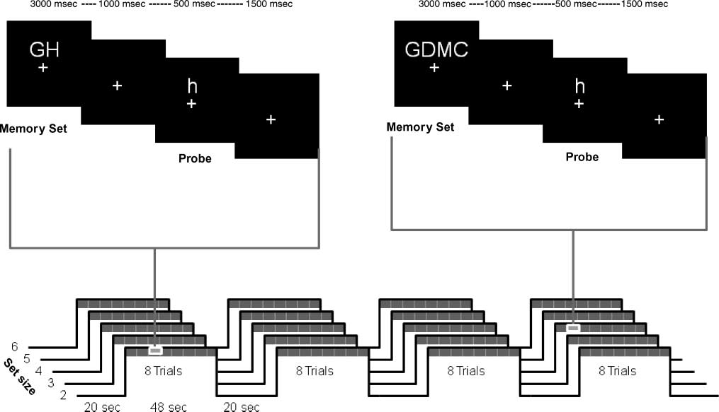 Span, CRUNCH, and Beyond: Working Memory Capacity image