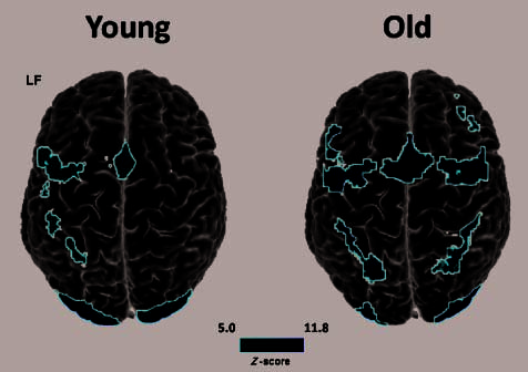 Span, CRUNCH, and Beyond: Working Memory Capacity image