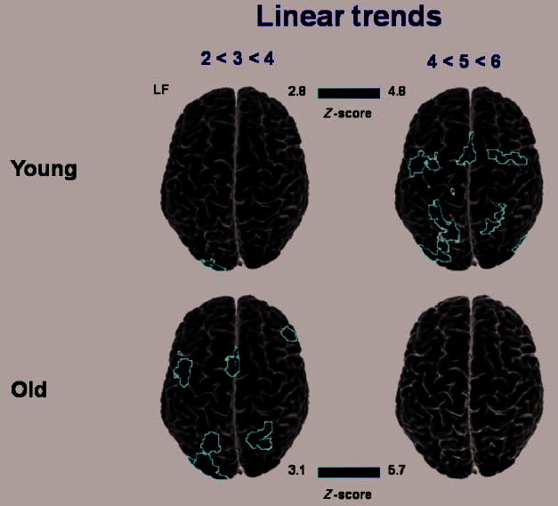 Span, CRUNCH, and Beyond: Working Memory Capacity image