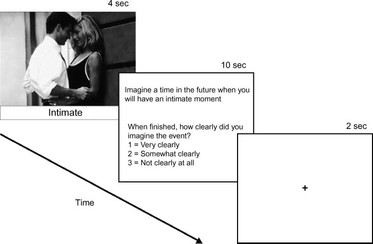 Patterns of Brain Activity Supporting Autobiographical image