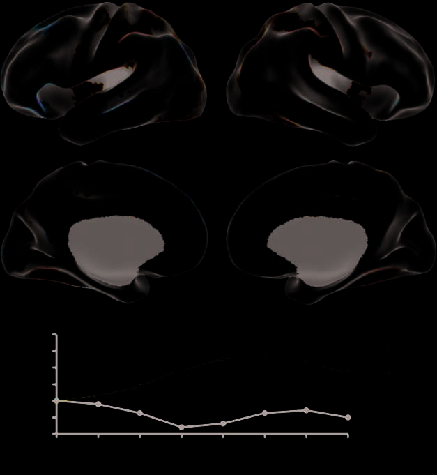 Patterns of Brain Activity Supporting Autobiographical image