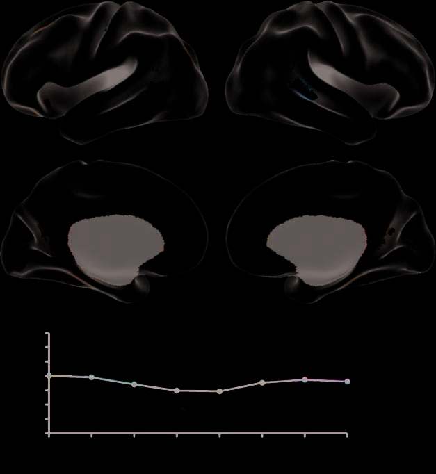 Patterns of Brain Activity Supporting Autobiographical image