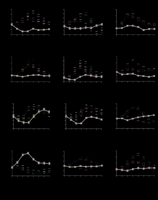 Patterns of Brain Activity Supporting Autobiographical image