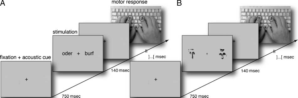 Dopamine, Paranormal Belief, and the Detection of image