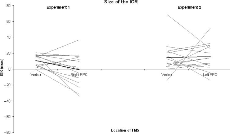 Hemispheric Asymmetry in the Remapping and image