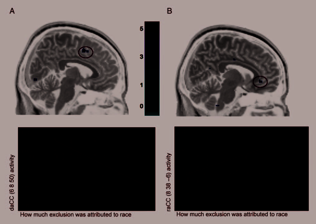 An fMRI Investigation of Attributing Negative Social image