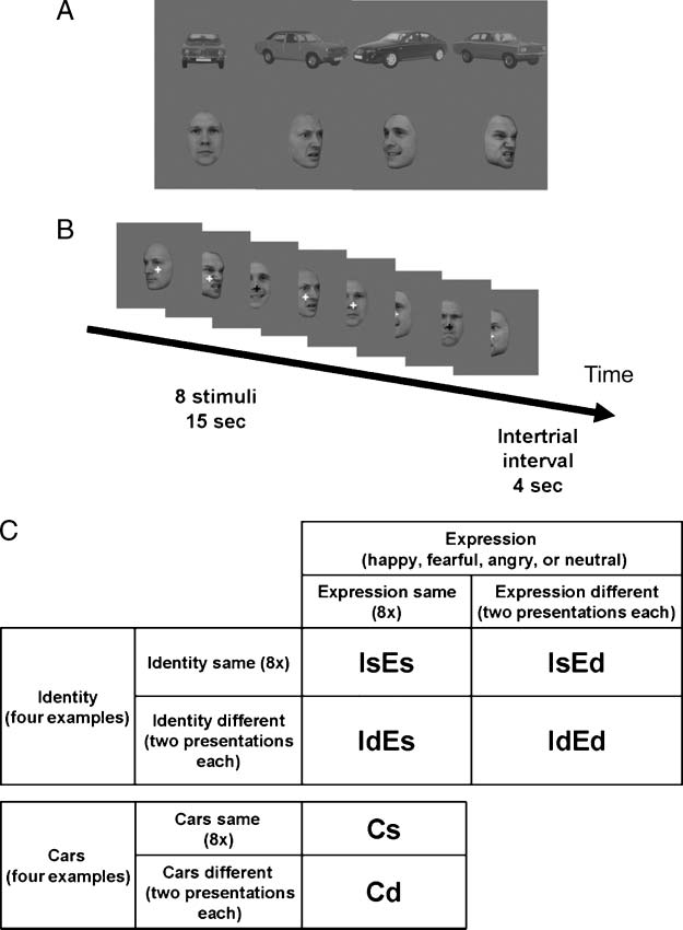 Fusiform Gyrus Face Selectivity Relates to Individual image