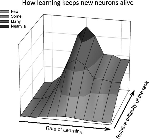 Learning Increases the Survival of Newborn image