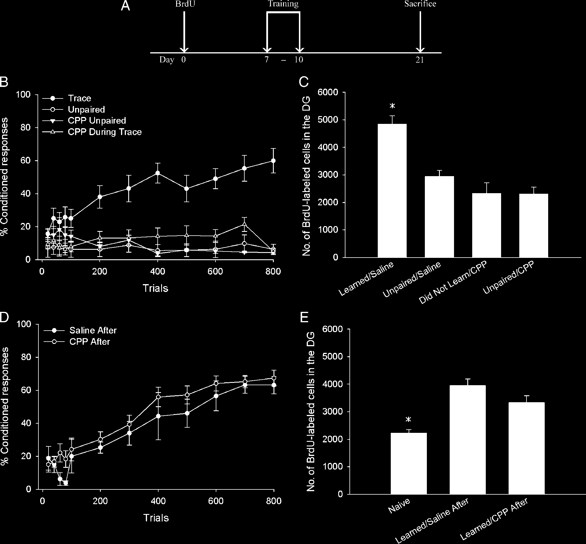 Learning Increases the Survival of Newborn image