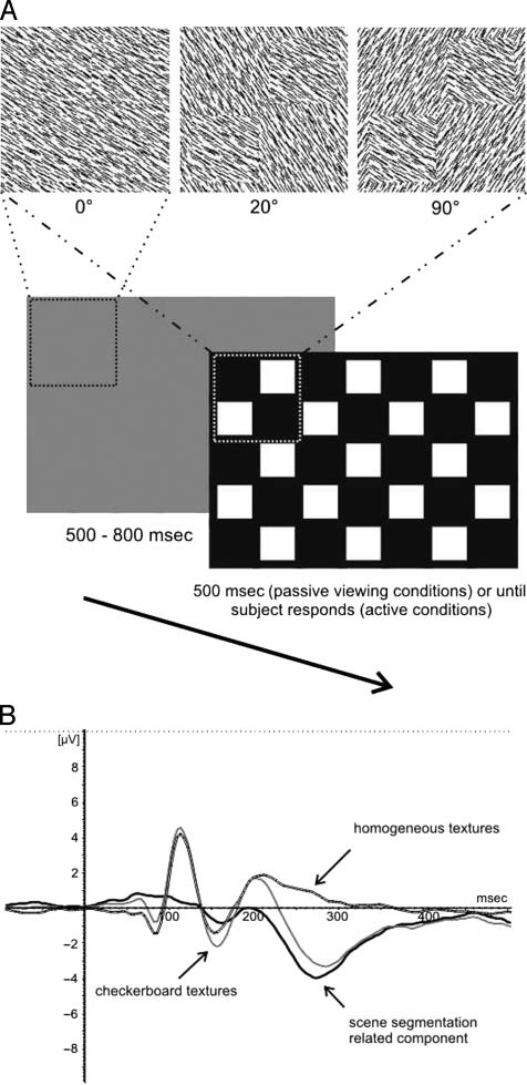 Actúe rápidamente, decidir más tarde: Long-latency Visual image