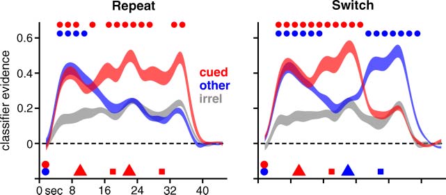 Neural Evidence for a Distinction between Short-term image