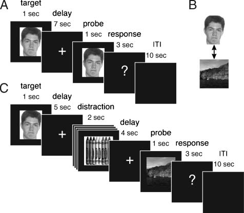 Neural Evidence for a Distinction between Short-term image