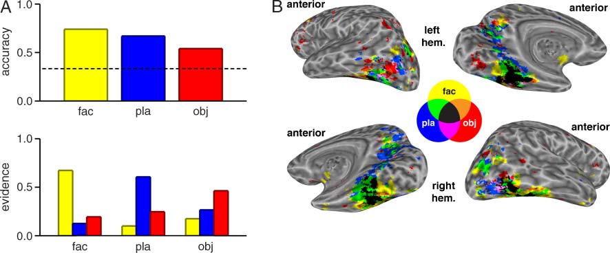 Neural Evidence for a Distinction between Short-term image