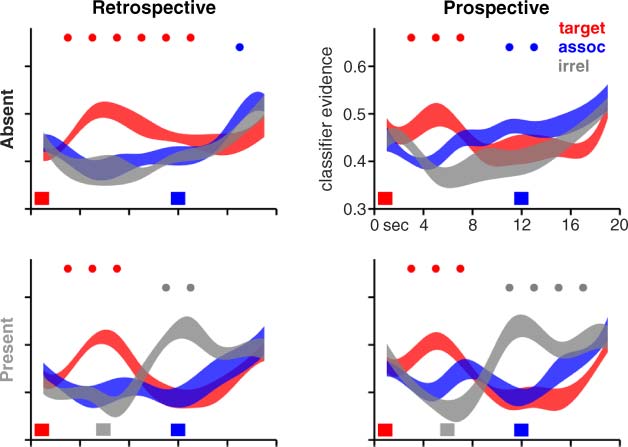 Neural Evidence for a Distinction between Short-term image