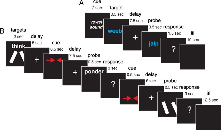 Neural Evidence for a Distinction between Short-term image