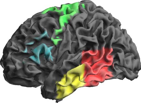 Independent Distractor Frequency and Age-of-Acquisition image