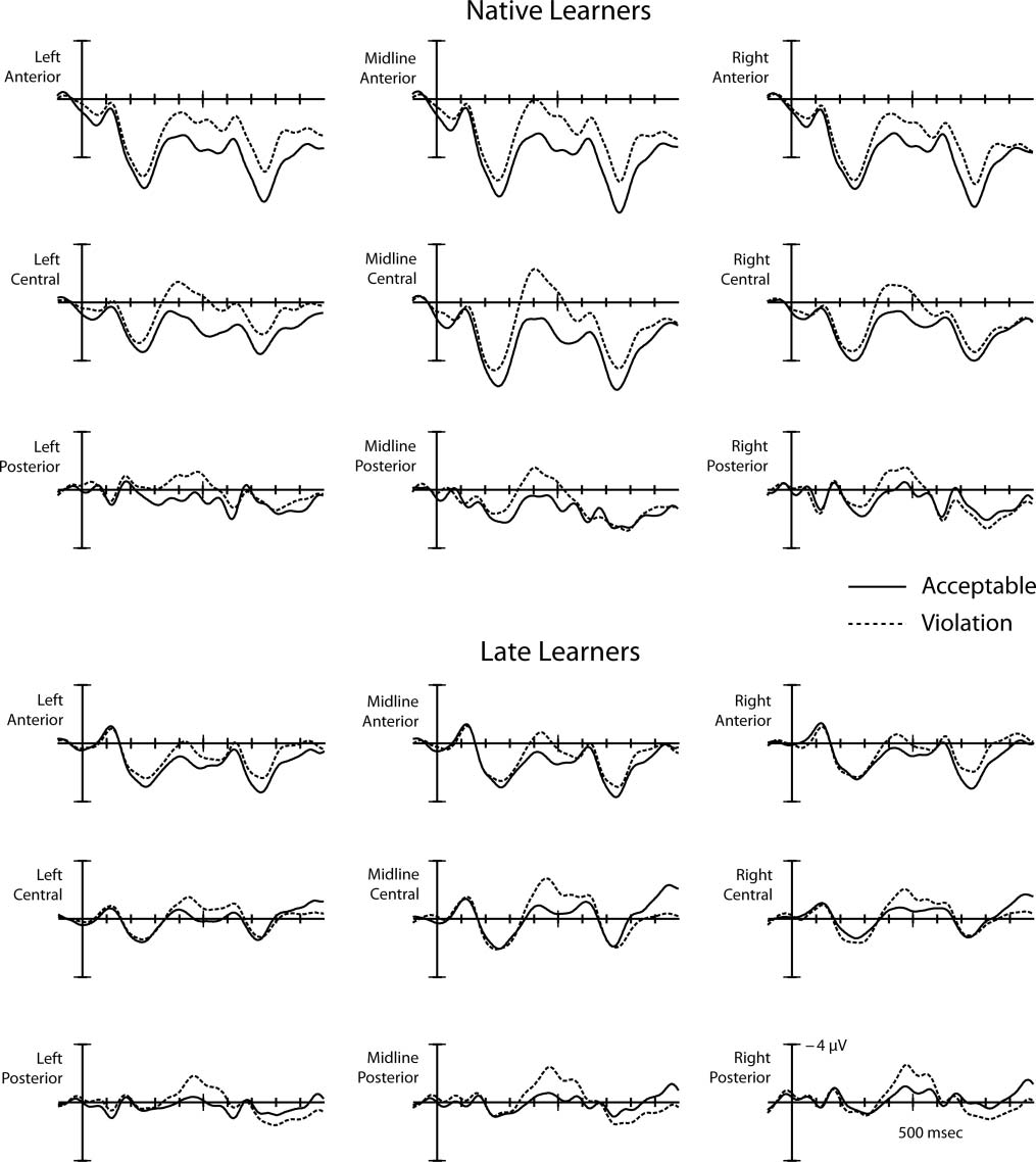 The Influence of Language Proficiency on Lexical Semantic image