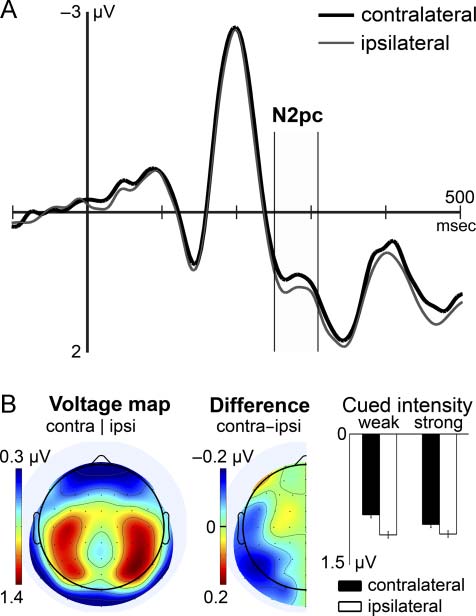 Nonspatial Cueing of Tactile STM Causes Shift of image