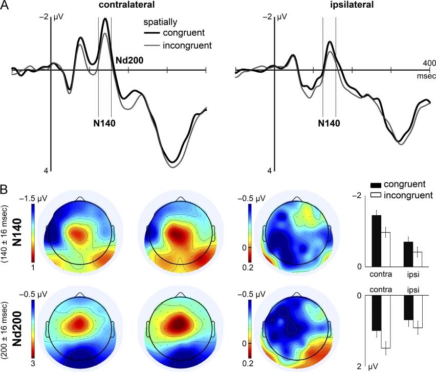 Nonspatial Cueing of Tactile STM Causes Shift of image