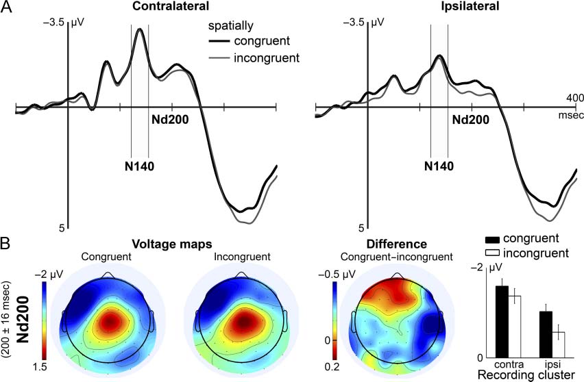 Nonspatial Cueing of Tactile STM Causes Shift of image