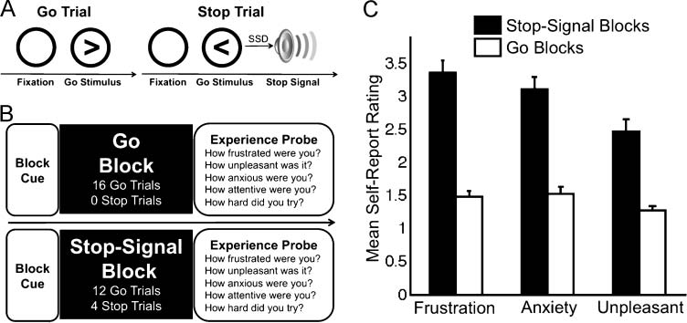 The Phenomenology of Error Processing: The Dorsal image