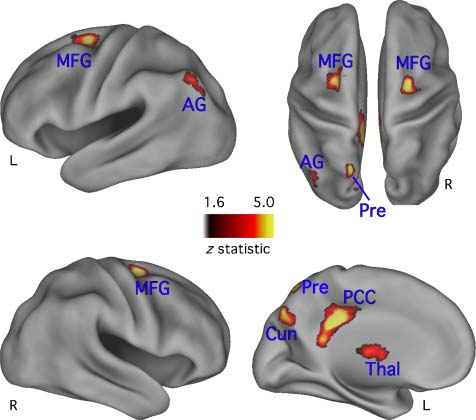 A Differentiation Account of Recognition Memory: image