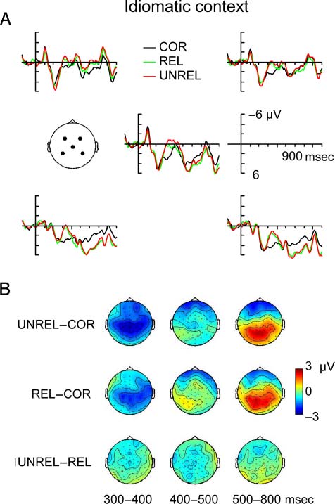 Context-dependent Semantic Processing in the Human image