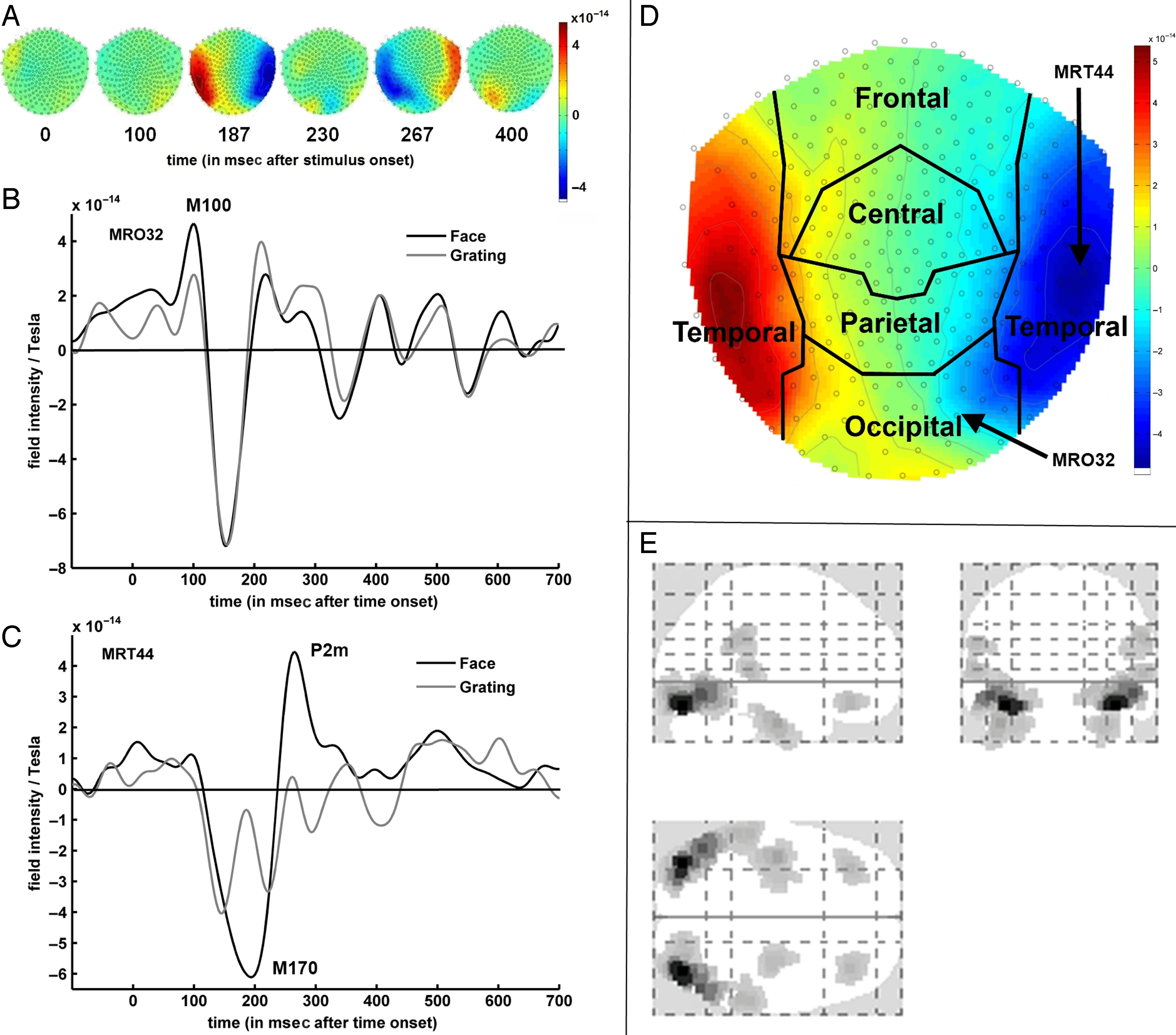 Early Visual Responses Predict Conscious Face image