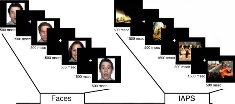 Neural Responses to Ambiguity Involve Domain-general image