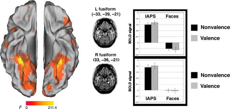 Neural Responses to Ambiguity Involve Domain-general image