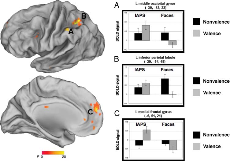 Neural Responses to Ambiguity Involve Domain-general image