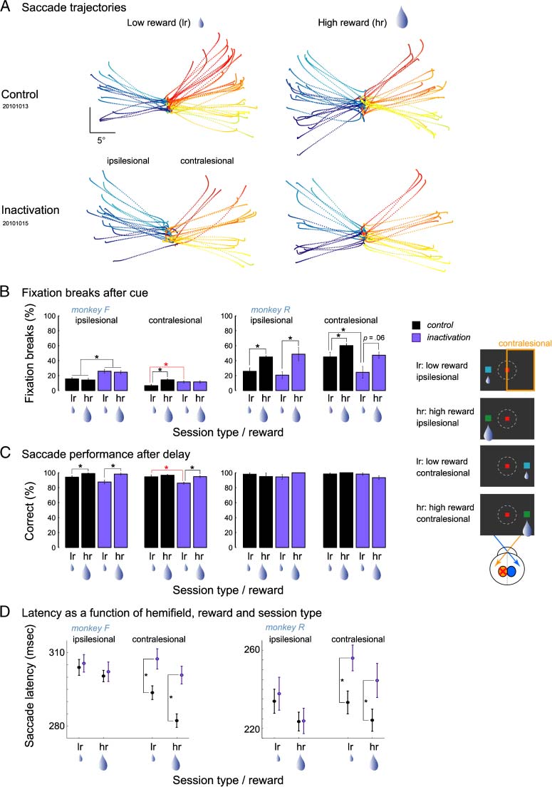 Effects of Pulvinar Inactivation on Spatial Decision-making image