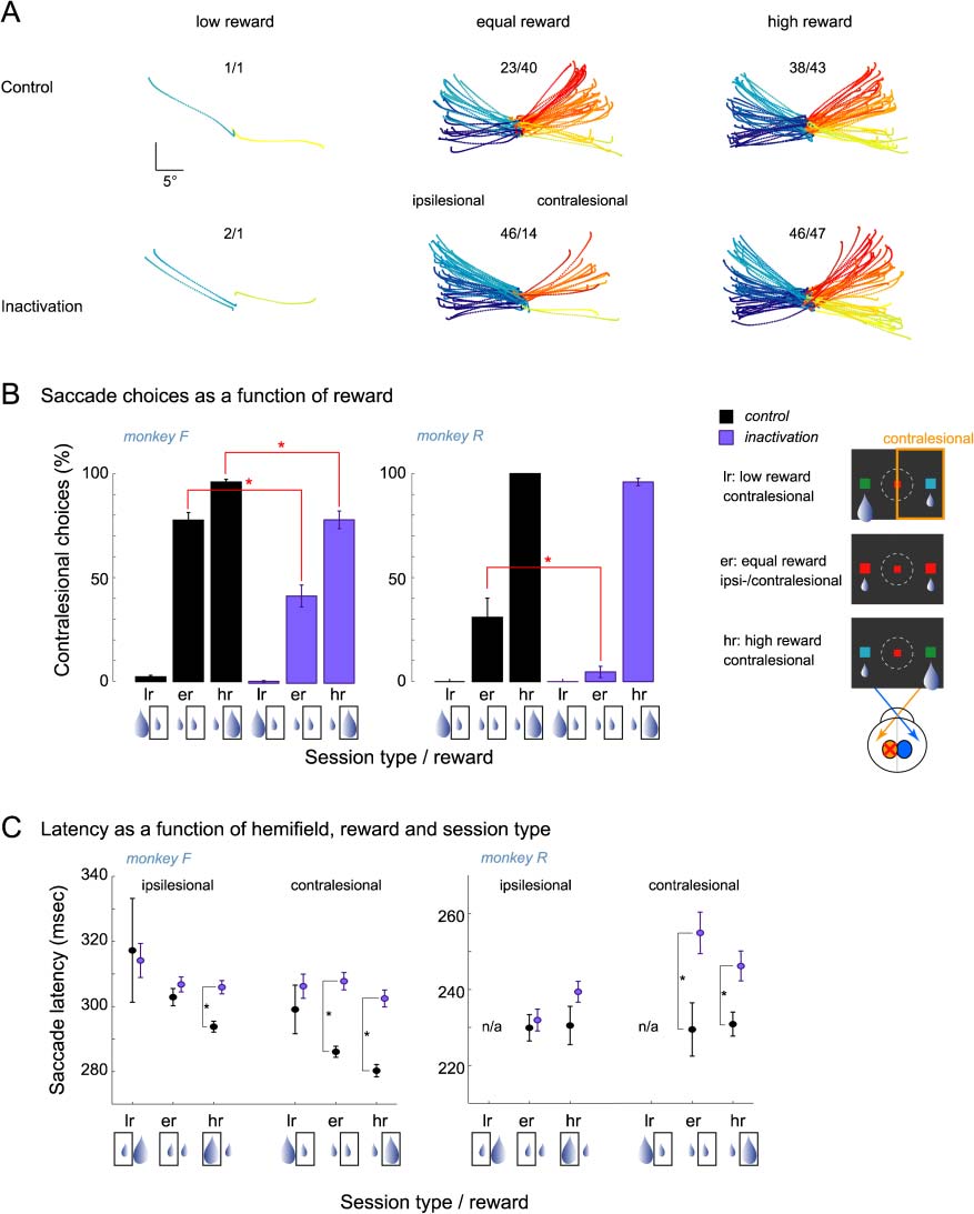 Effects of Pulvinar Inactivation on Spatial Decision-making image