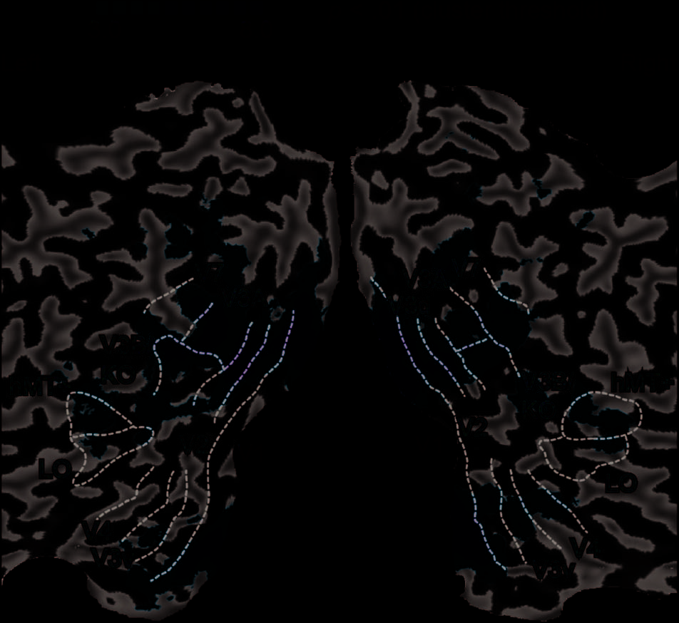 Perceptual Integration for Qualitatively Different 3-D image