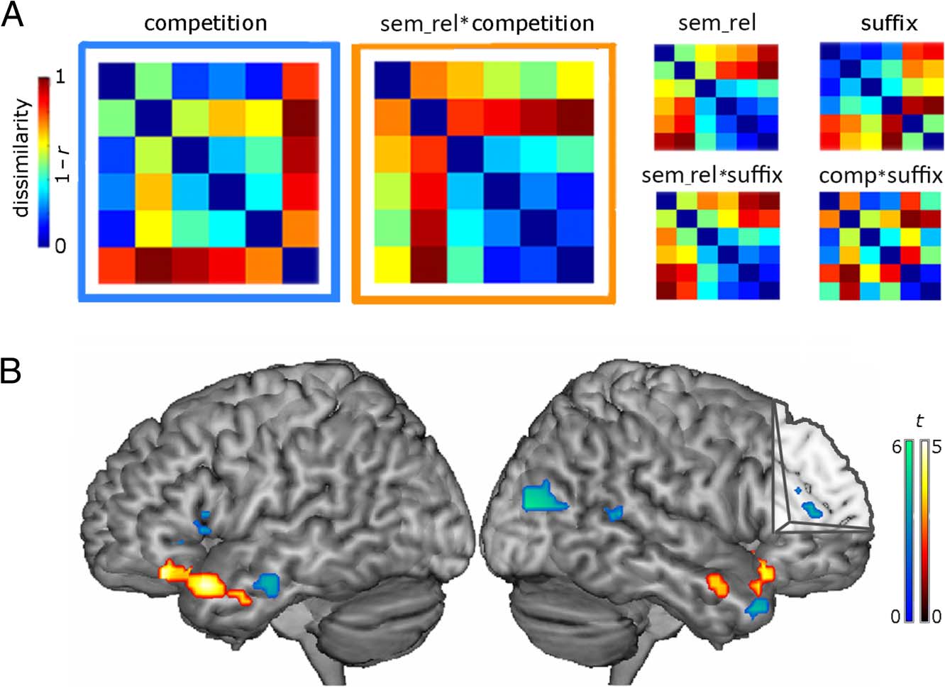 Neurobiological Systems for Lexical Representation image