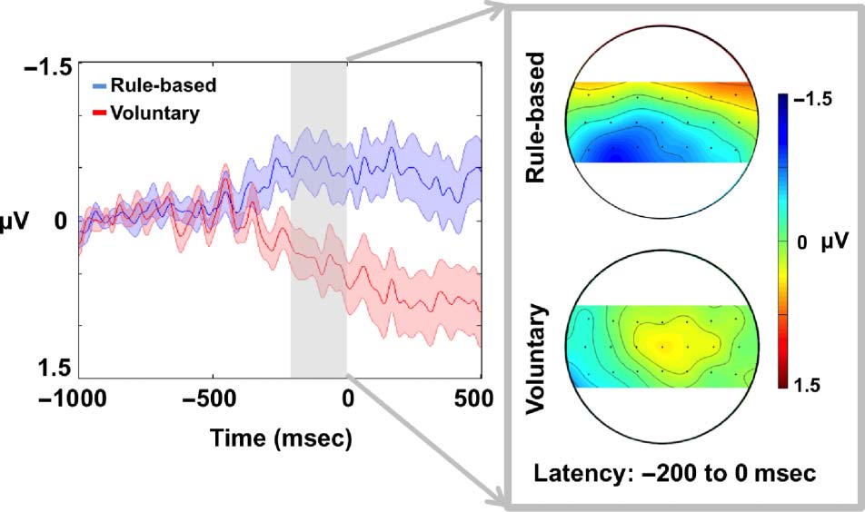 Veto and Vacillation: A Neural Precursor image