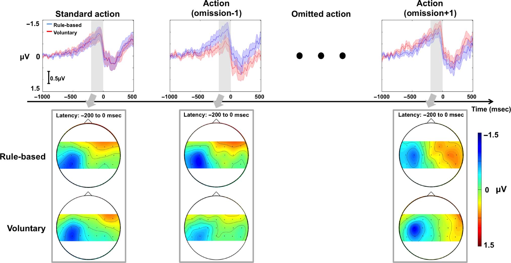 Veto and Vacillation: A Neural Precursor image