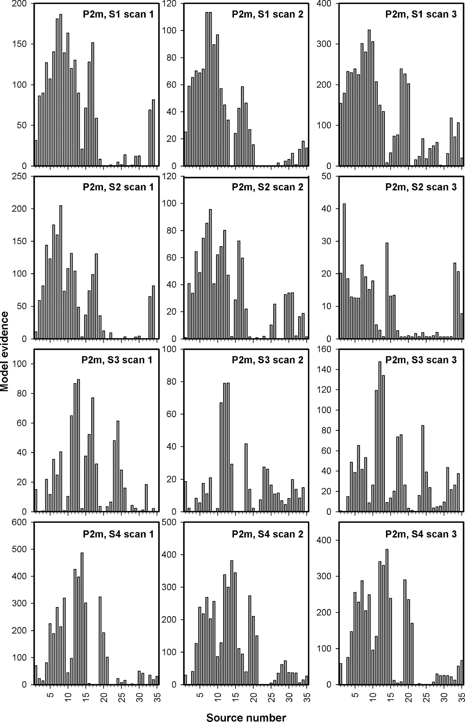 Magnetoencephalographic Activity Related to Conscious image