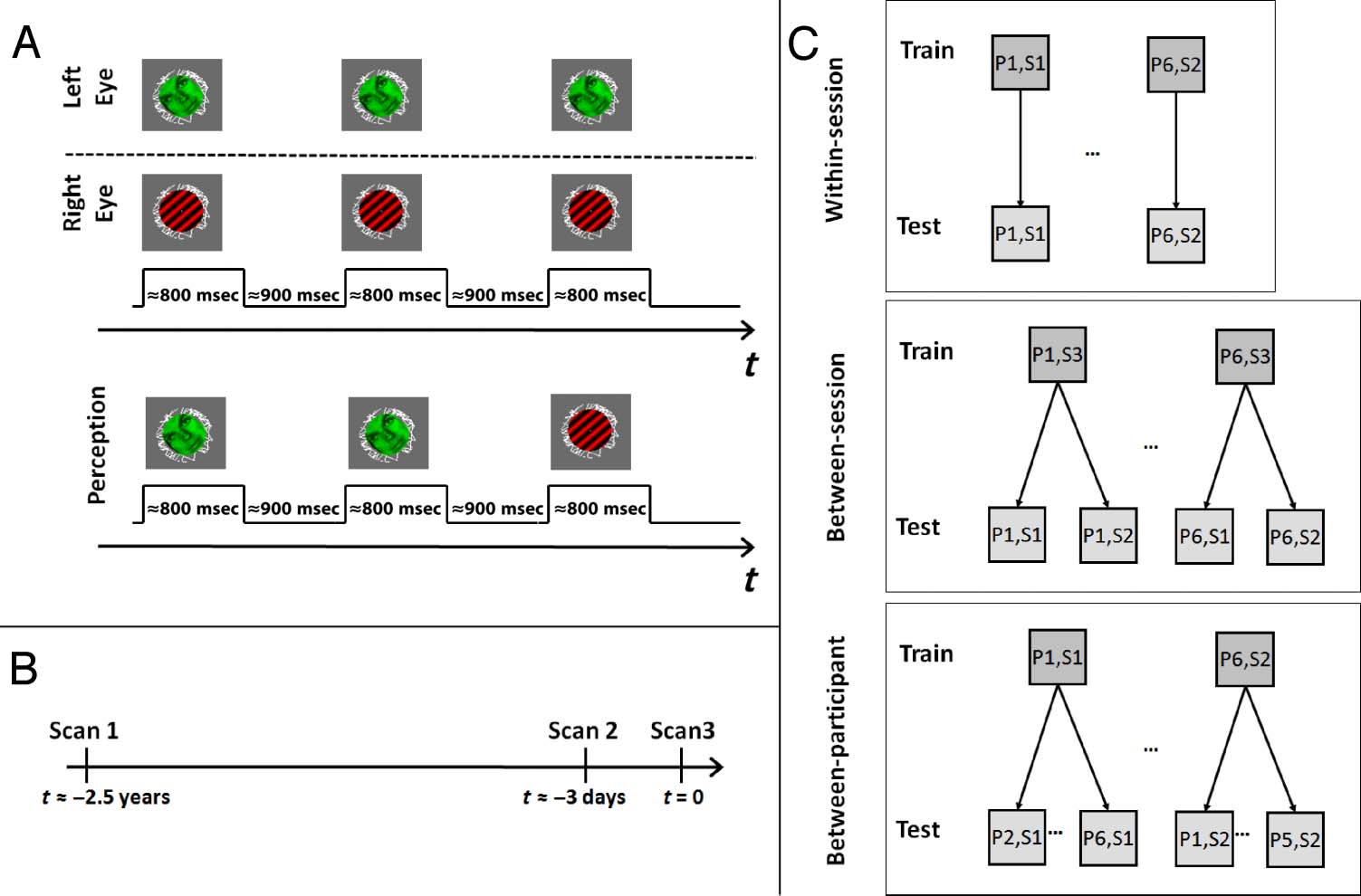 Magnetoencephalographic Activity Related to Conscious image